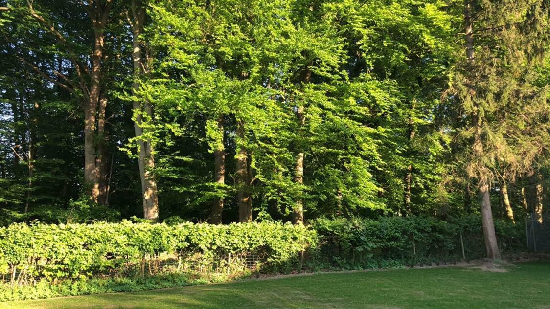 Ferienhaus Baek-Ratzeburg Bak Exteriör bild